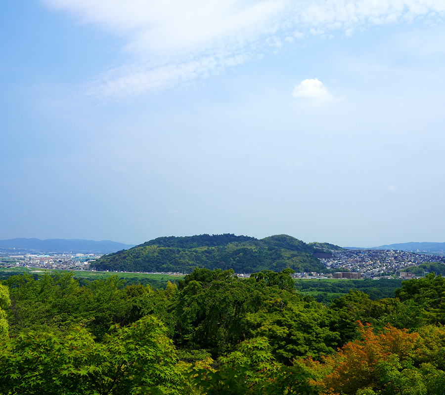 男山