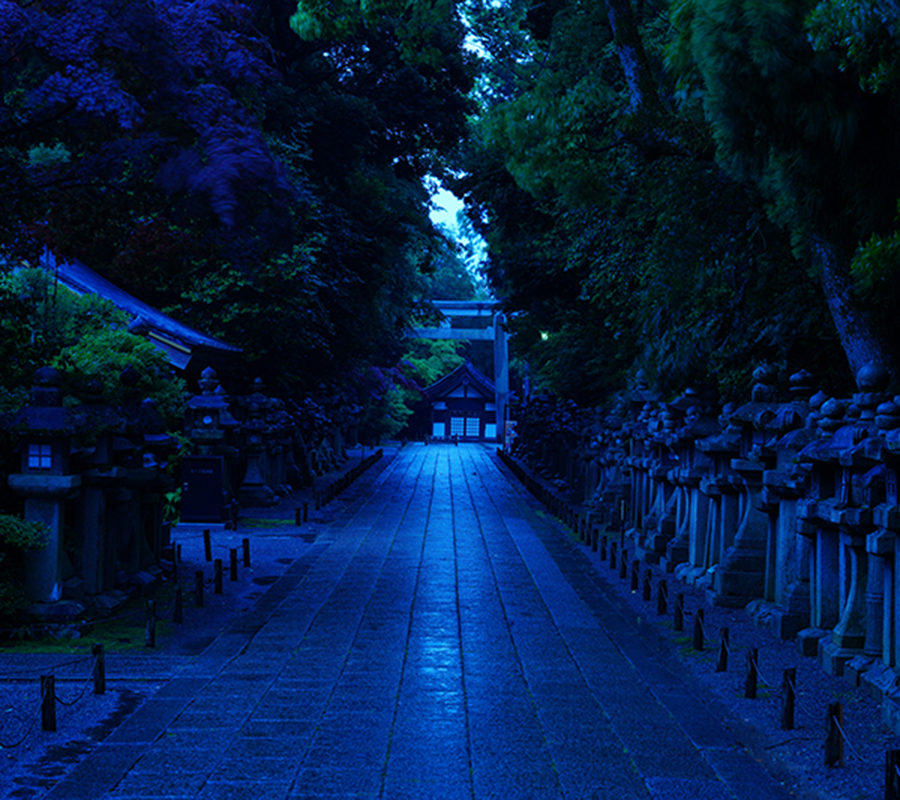 石清水八幡宮、夜の参道