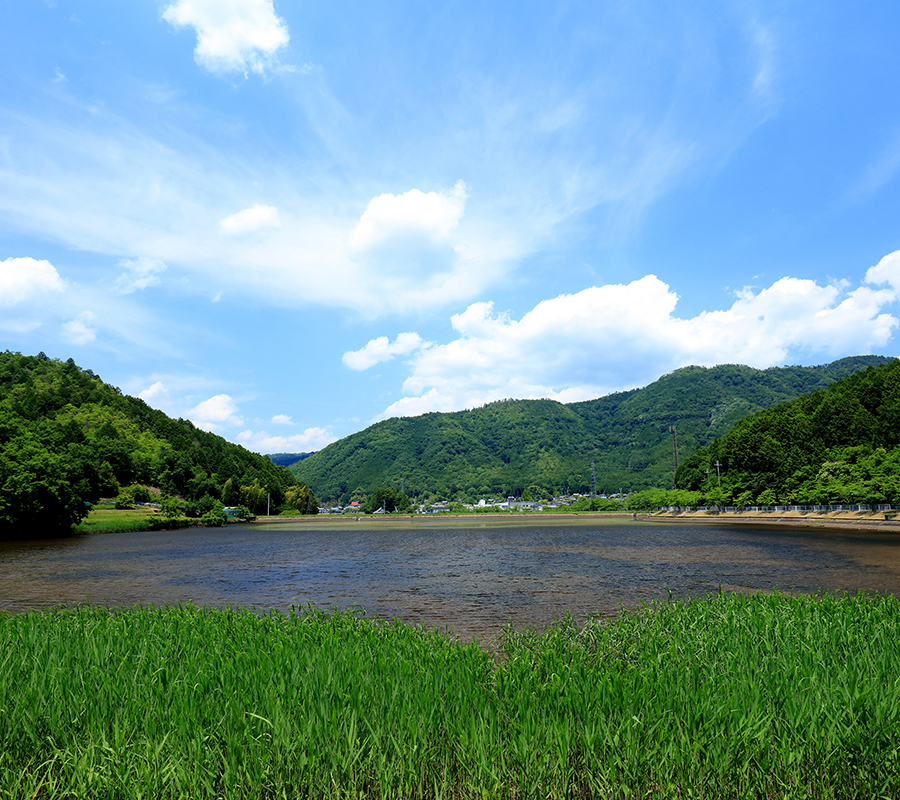 文覚池