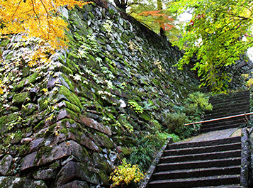 丹波亀山城跡