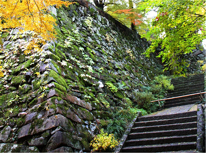 丹波亀山城跡