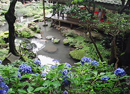 楊谷寺(柳谷観音)