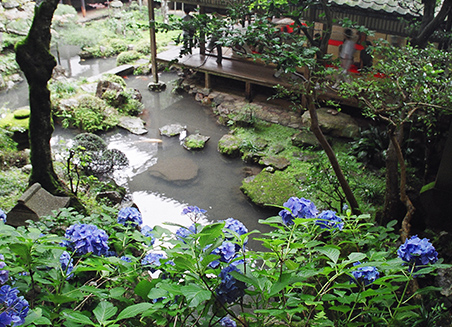 楊谷寺(柳谷観音)
