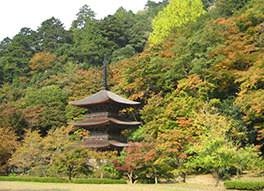 金剛院