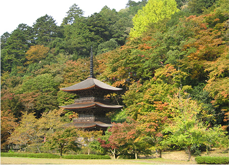 金剛院