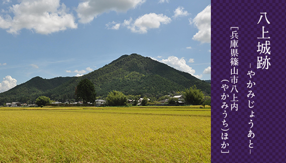 八上城跡(やがみじょう)_兵庫県篠山市八上(やかみ)内ほか