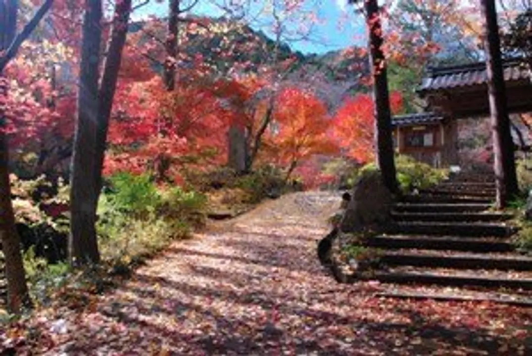 【神藏寺】紅葉