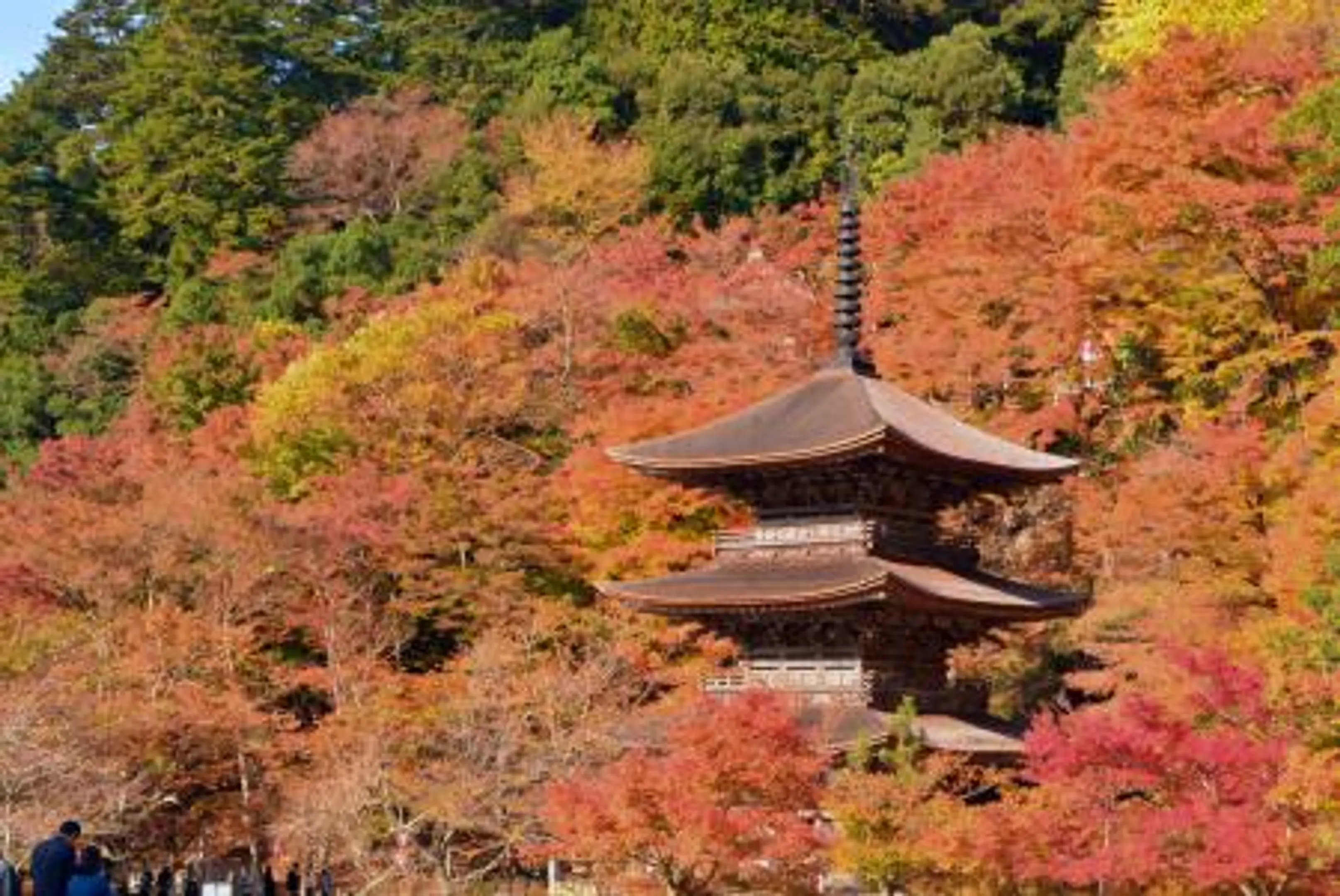 金剛院 | スポット一覧 | 京都府観光連盟公式サイト