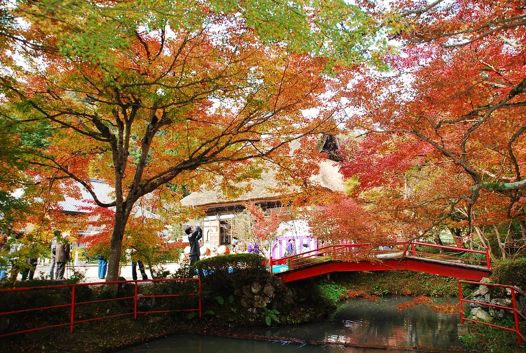 安国寺の紅葉_11月（綾部市）.JPG