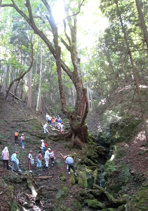 秋　睦寄町古屋　栃の実拾い　000011　１１回　Ｈ２３.jpg