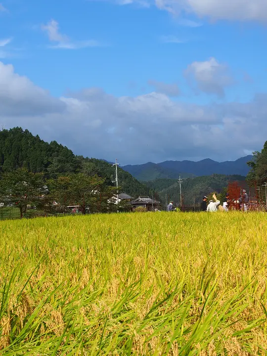 秋　睦寄町草壁.JPG