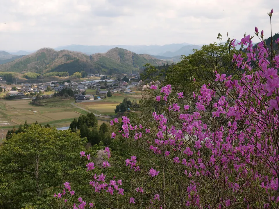 春　小畑町.jpg