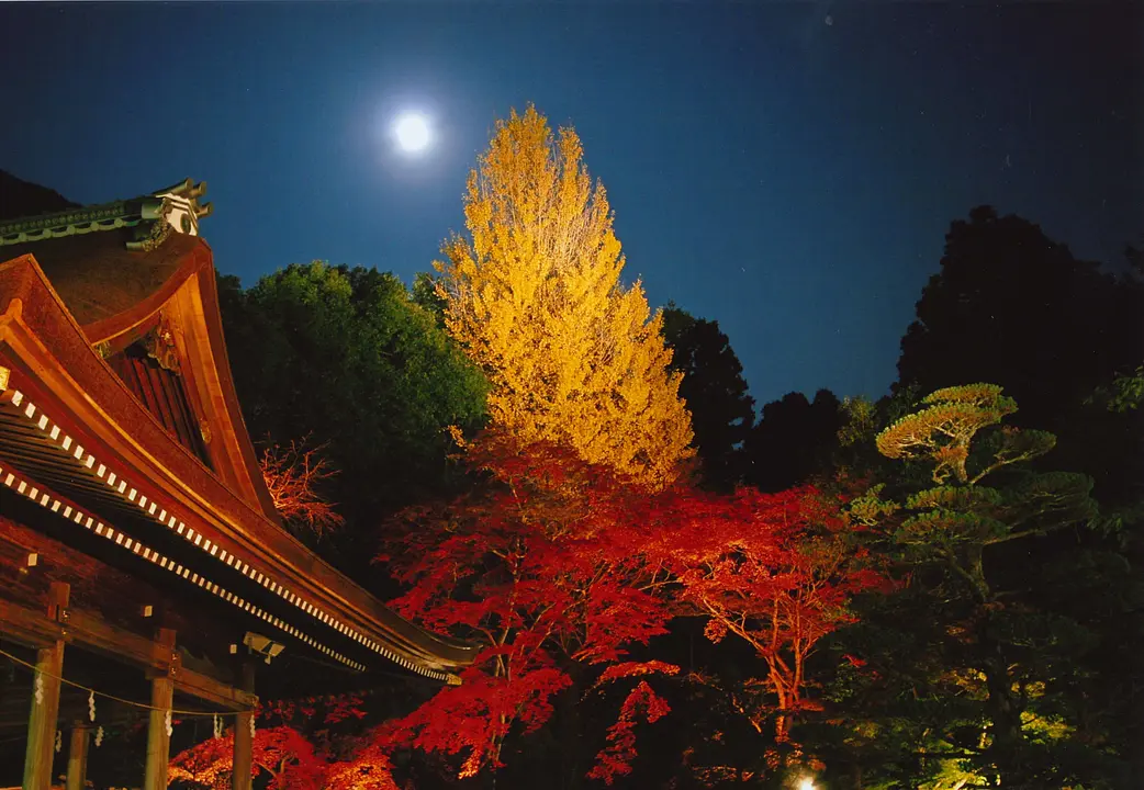 出雲大神宮.jpg