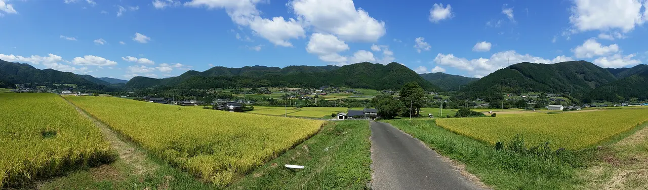 20140909_113550.jpg