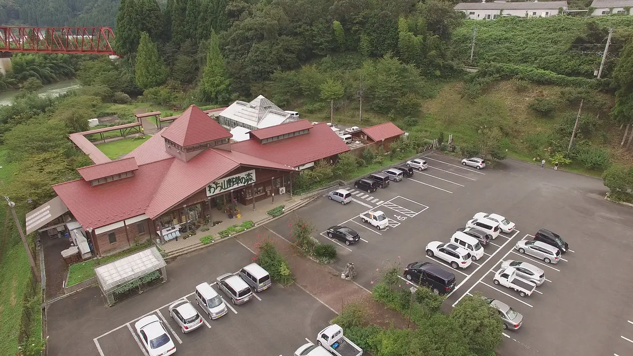 66_わち山野草の森_07.jpg
