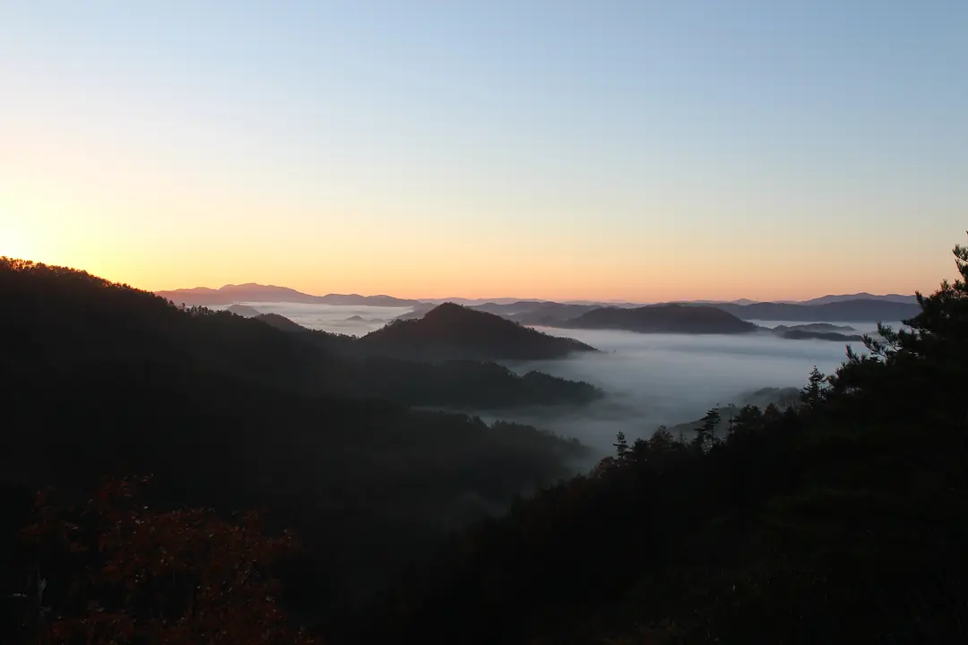 IMG_6468.JPG