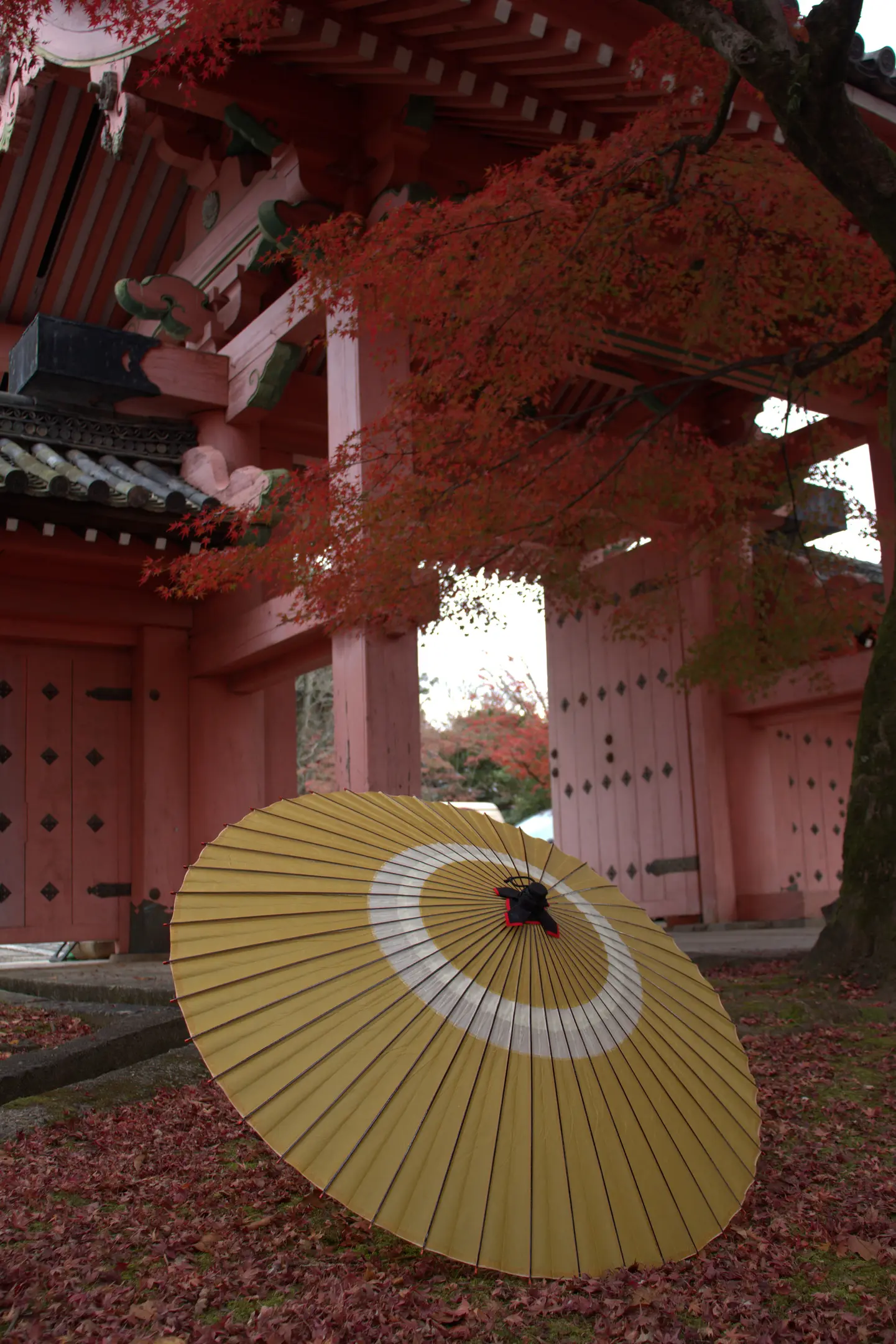 日本最古の京都和傘屋 辻倉