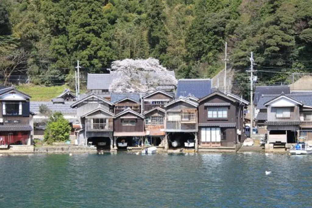 海蔵寺】桜 | イベント一覧 | 京都府観光連盟公式サイト