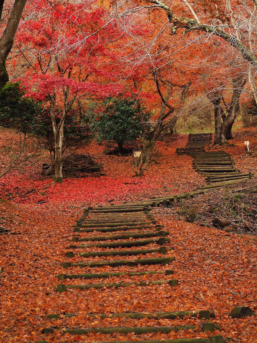 宝山公園（2）.JPG