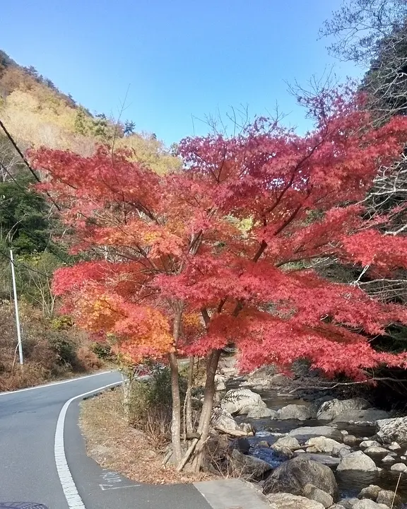 【るり渓谷一帯】紅葉