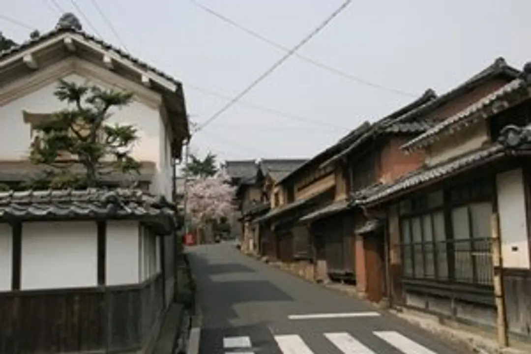 1241.jpg