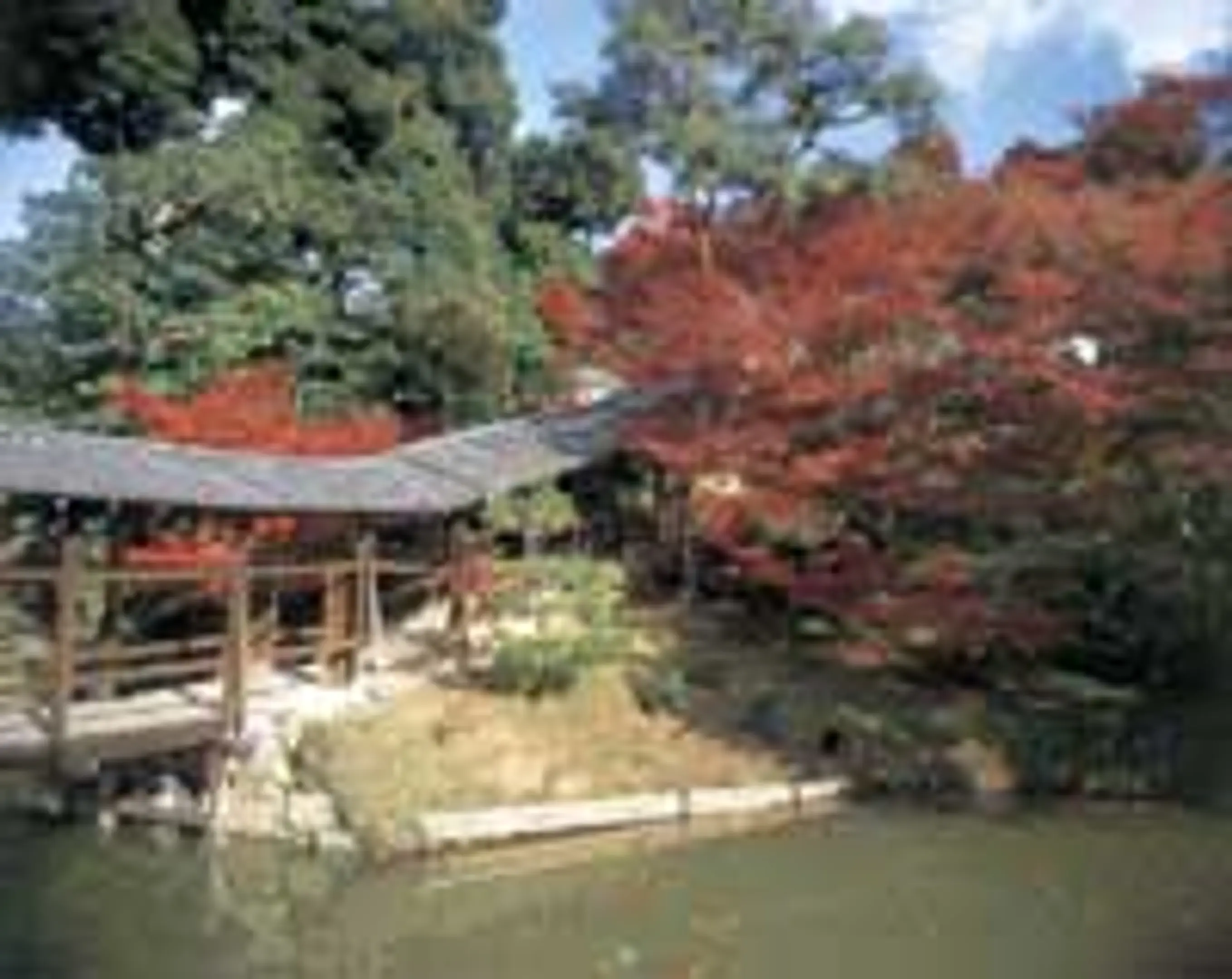 高台寺の紅葉