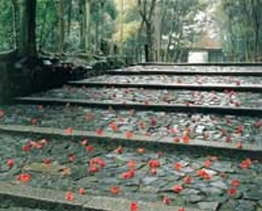 京都法然院歳時記 法然院のホームページ