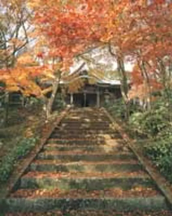 【西光寺】紅葉