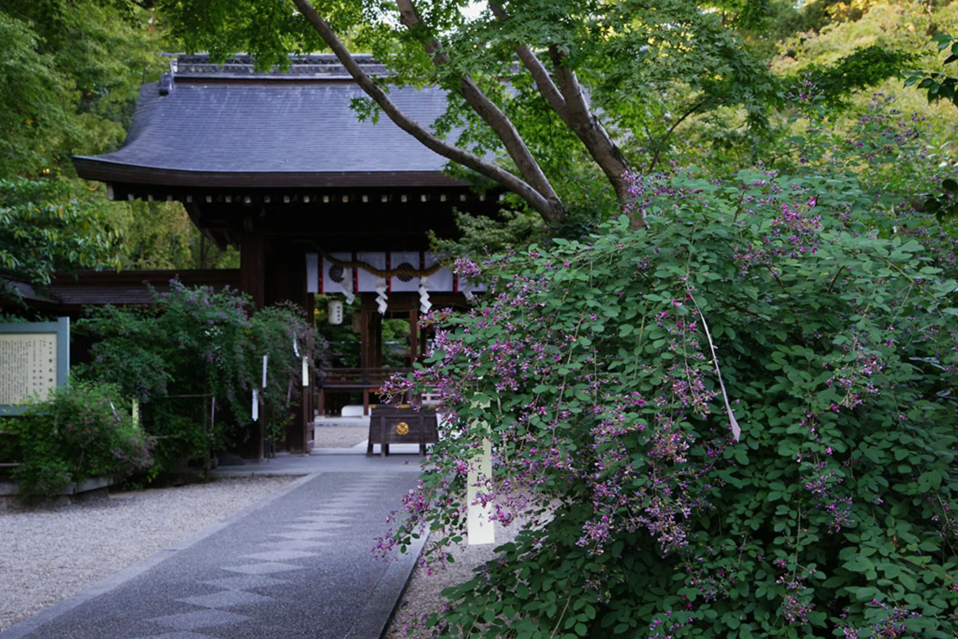 【梨木神社】萩