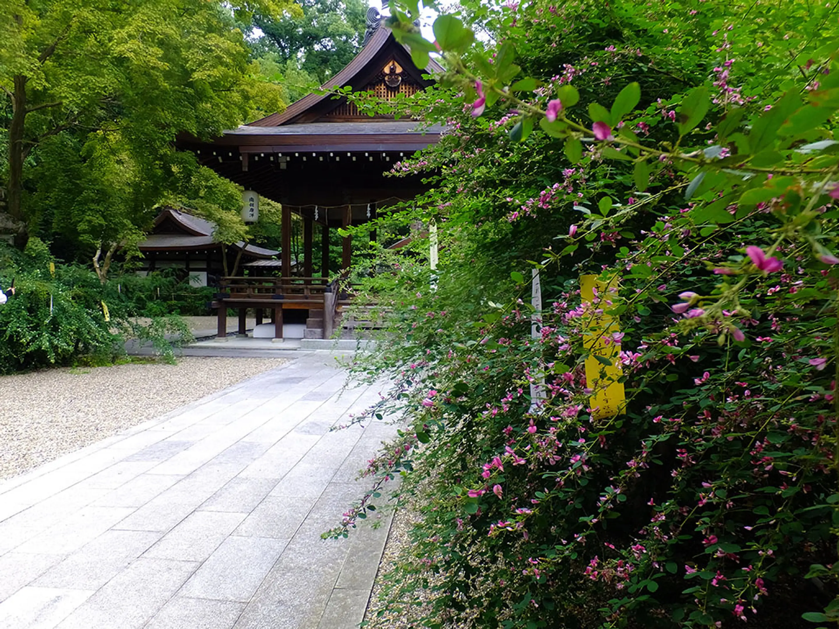 【梨木神社】萩