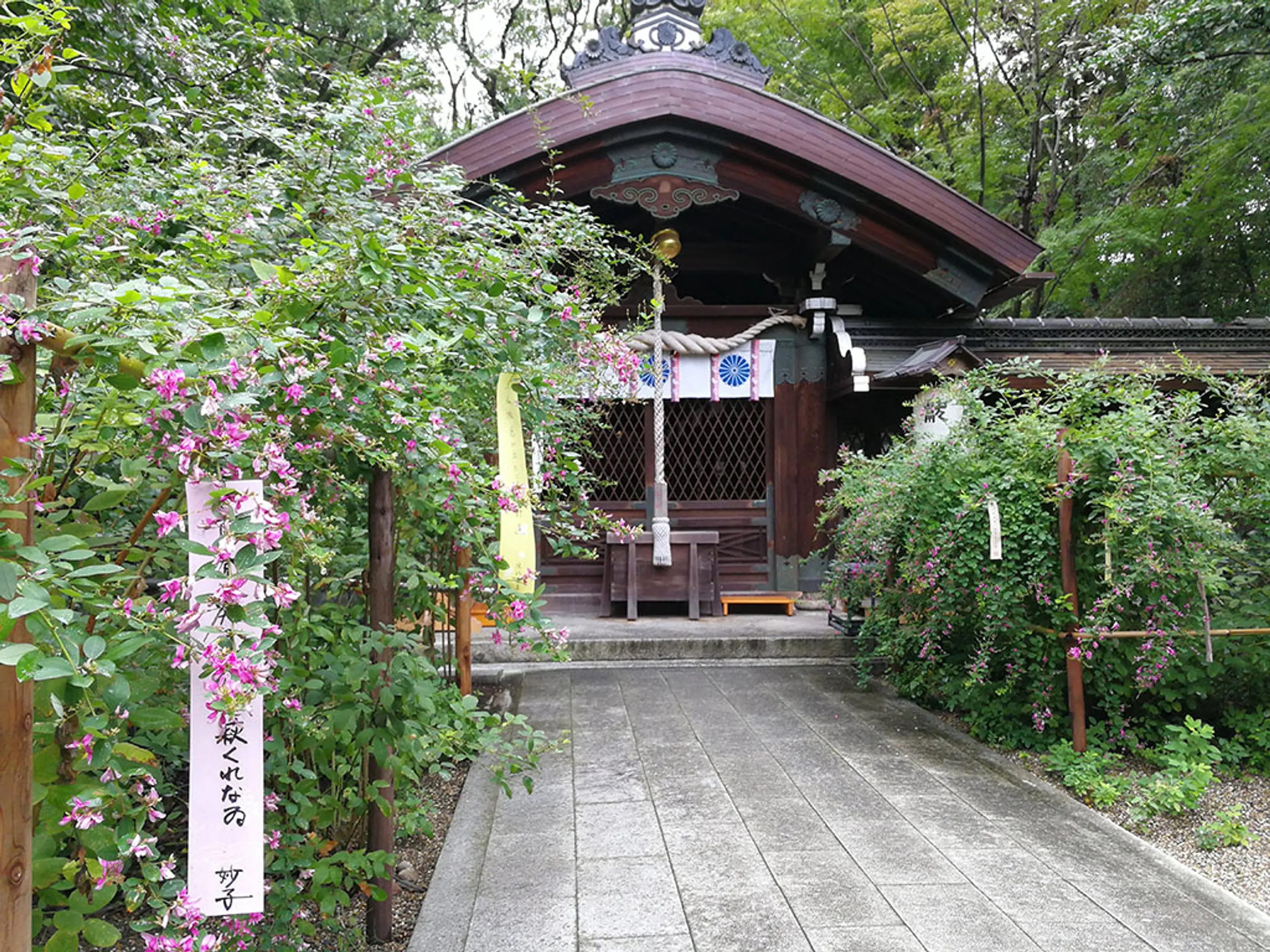 【梨木神社】萩