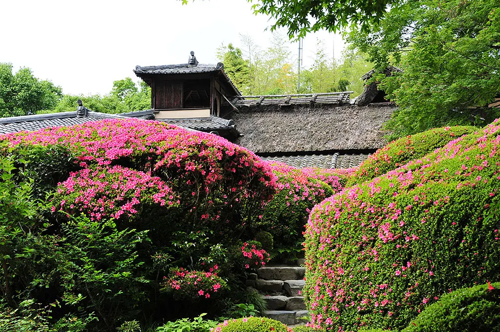 半額 福袋の通販 DSC_3714_縮小.jpg トップス