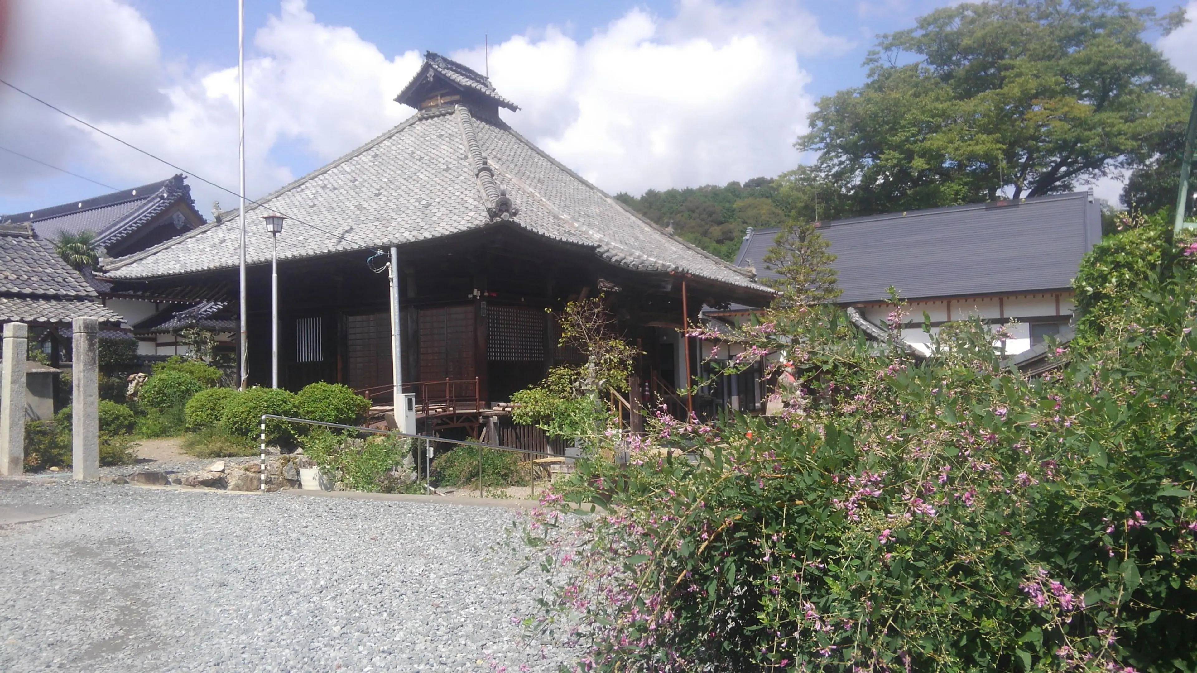 【正暦寺】萩