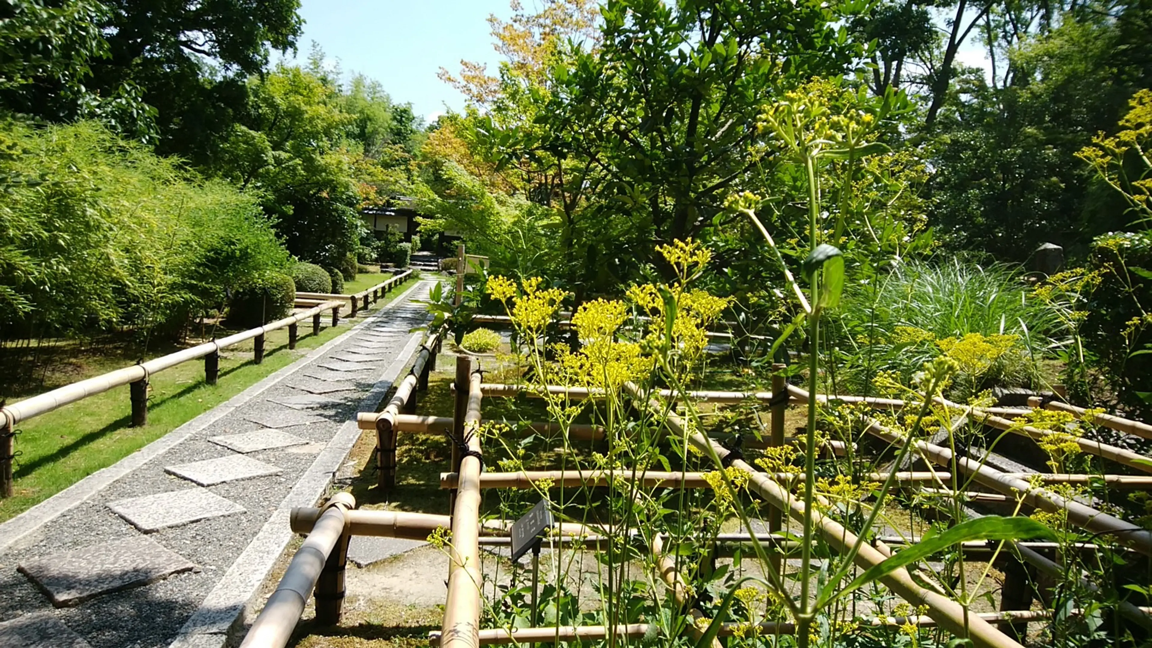 松花堂庭園・美術館 | スポット一覧 | 京都府観光連盟公式サイト