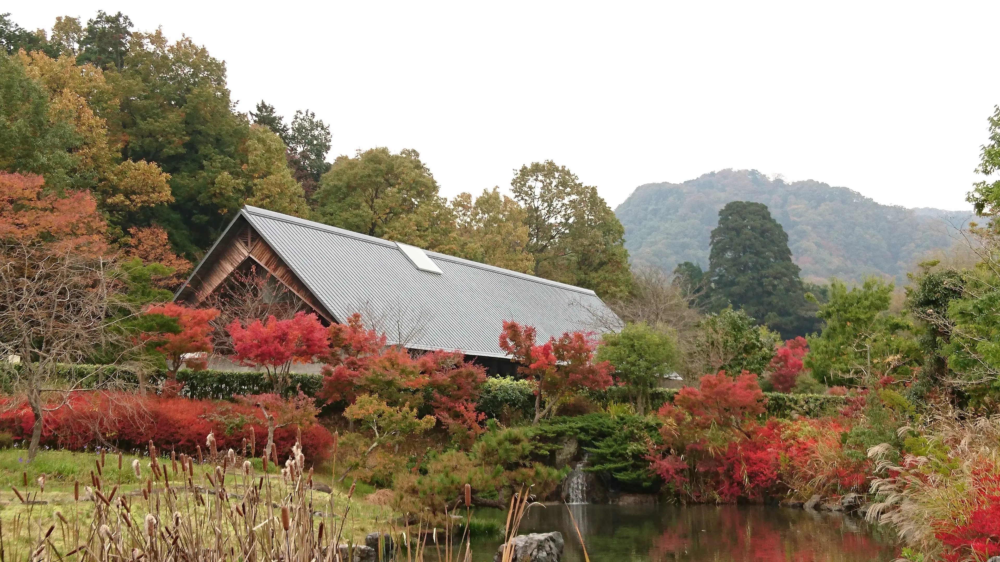 3608小町公園(1).JPG