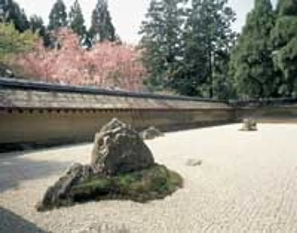 龍安寺】桜 | イベント一覧 | 京都府観光連盟公式サイト