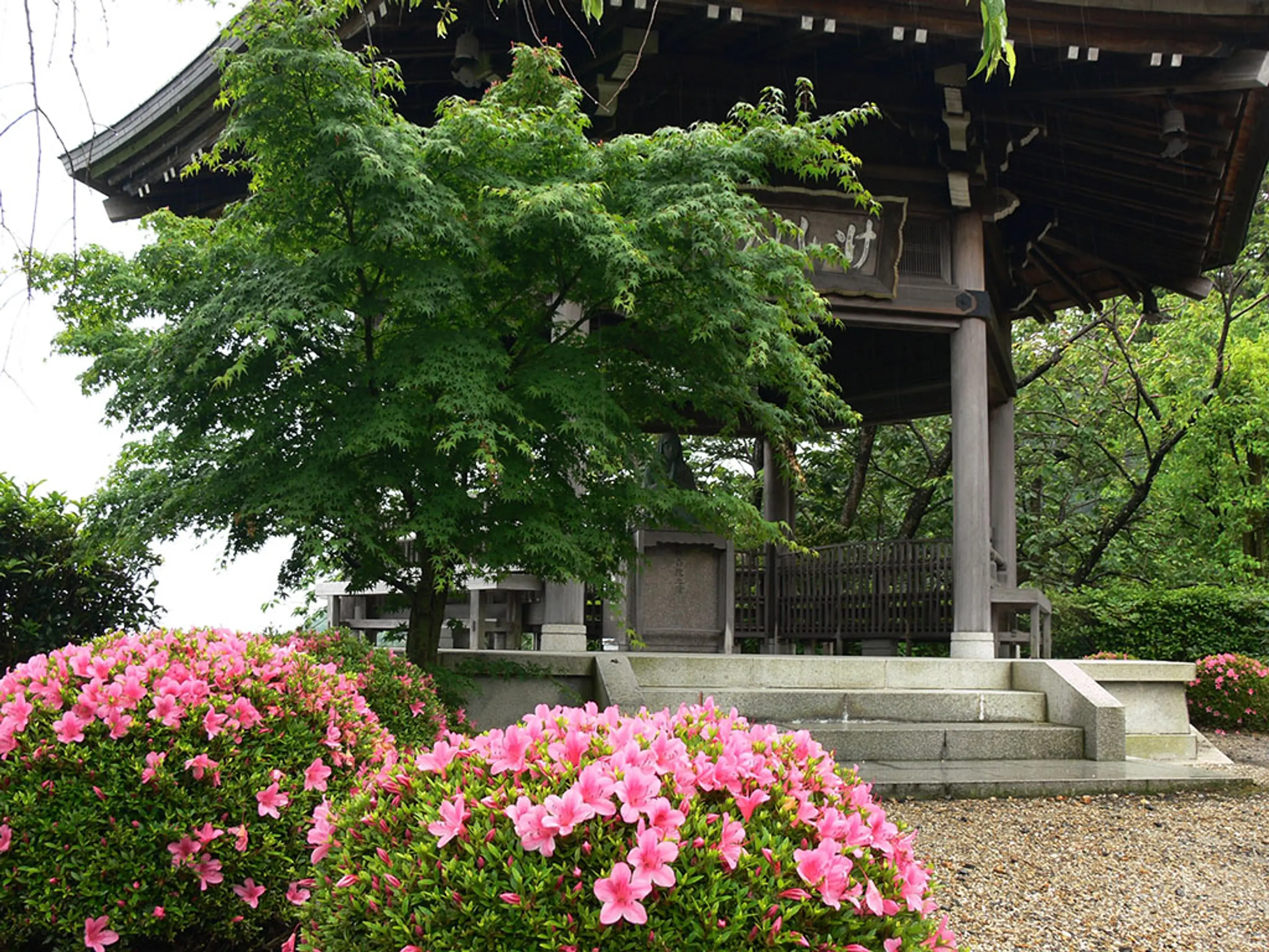 【善峯寺】さつき
