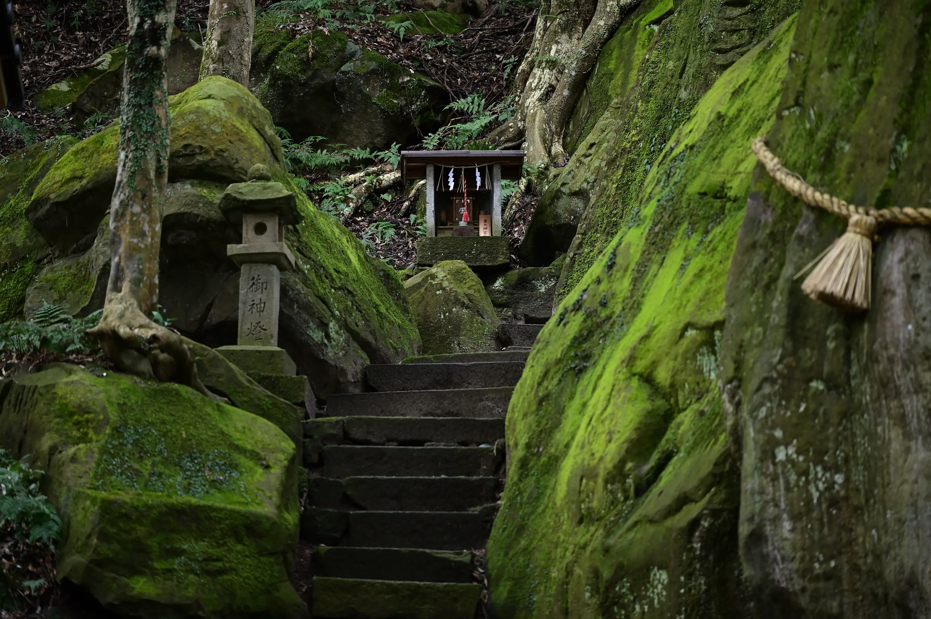 9650神谷神社.jpg