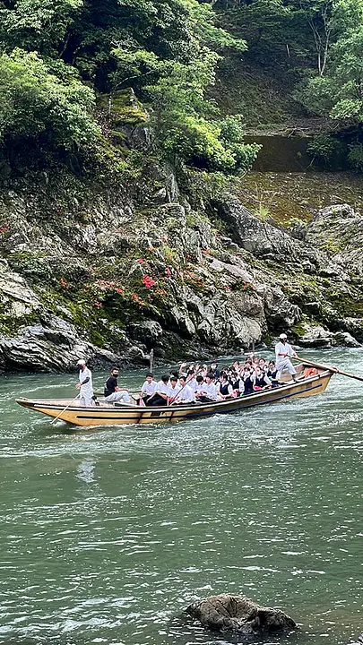 【保津峡】岩つつじ
