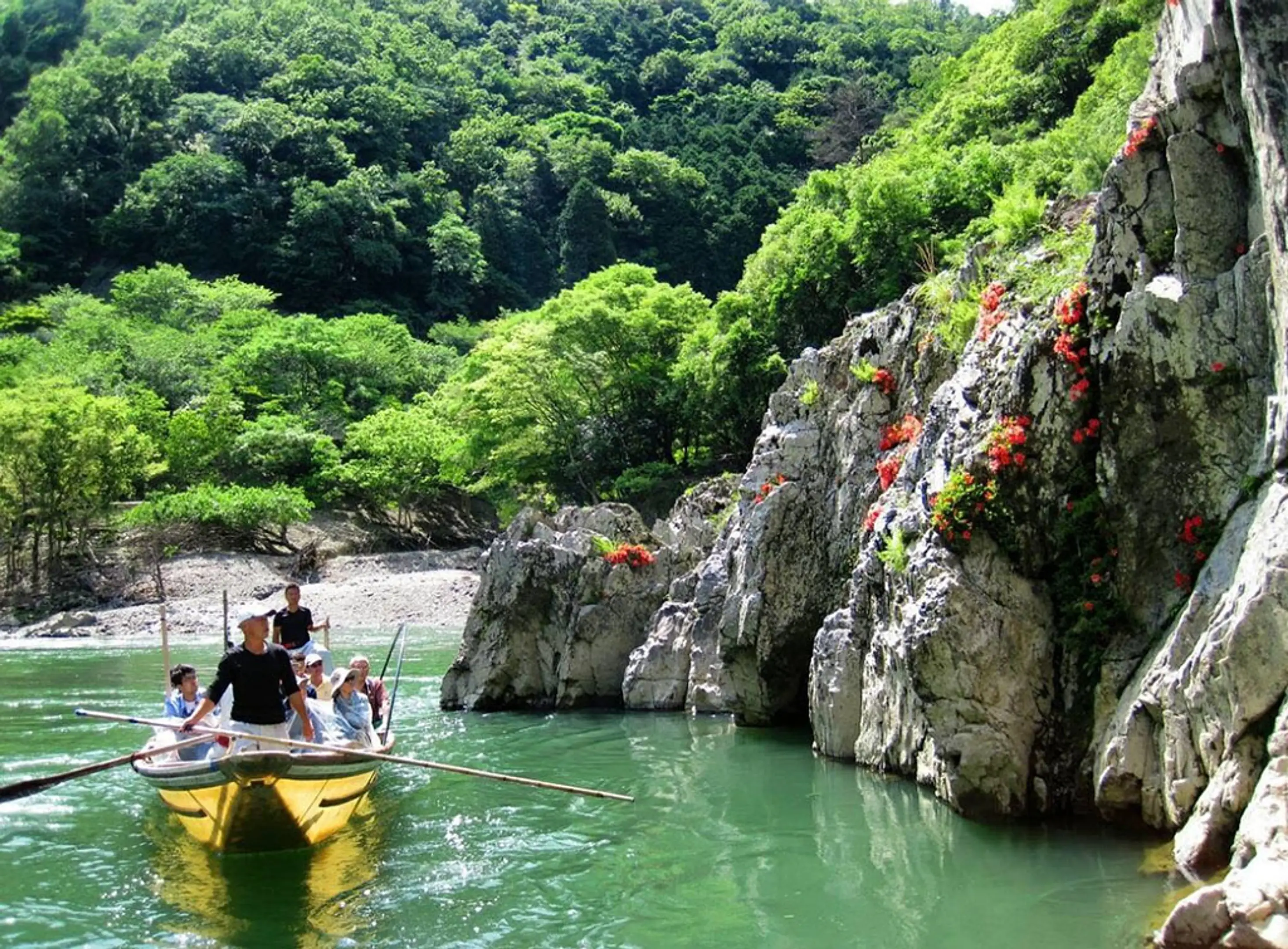 【保津峡】岩つつじ