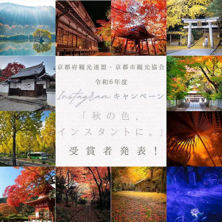 令和６年度Instagramキャンペーン「秋の色、インスタントに。」