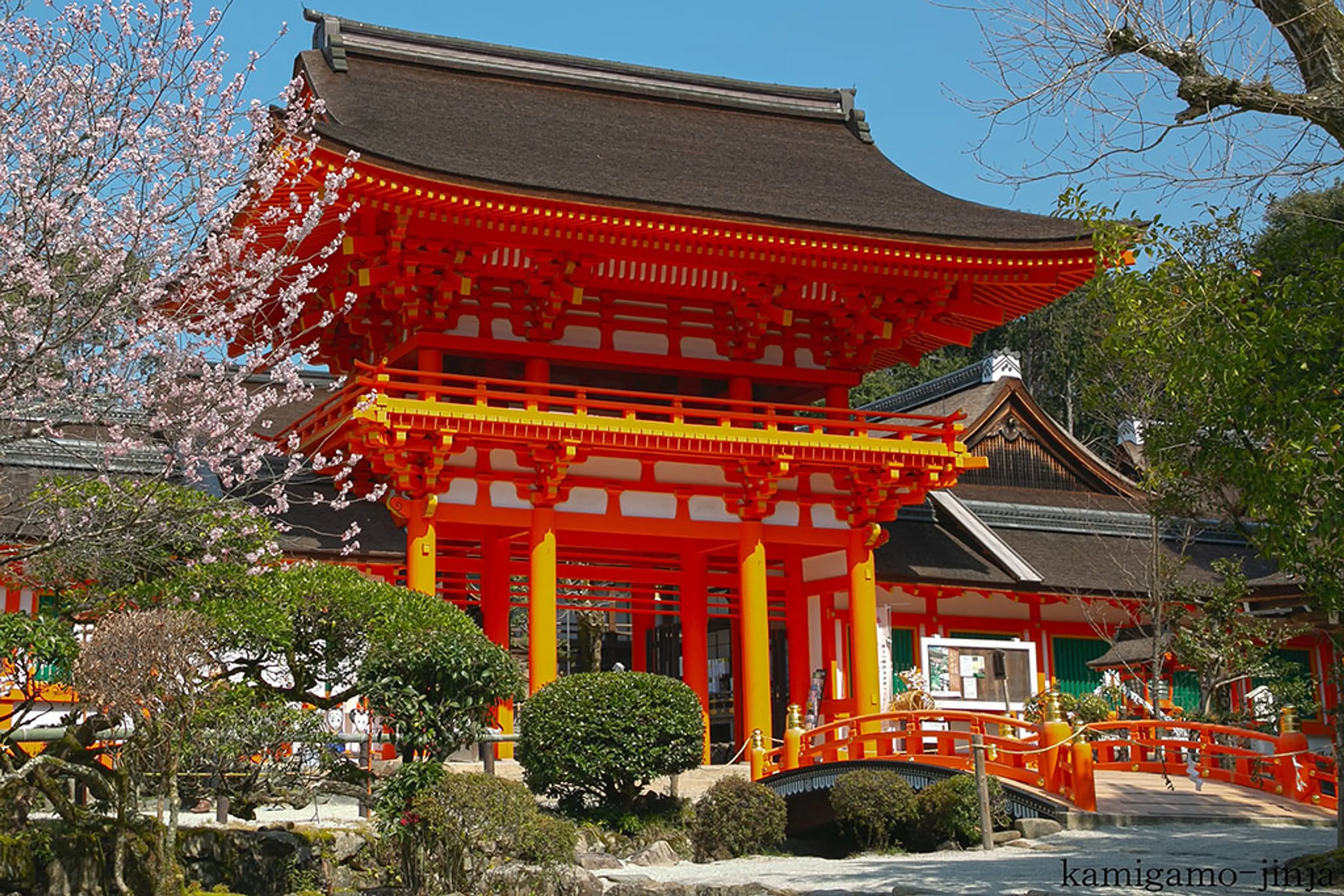【賀茂別雷神社（上賀茂神社）】桜