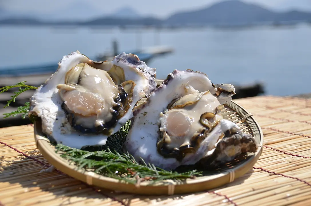 【舞鶴市ID：490】岩牡蠣.jpeg