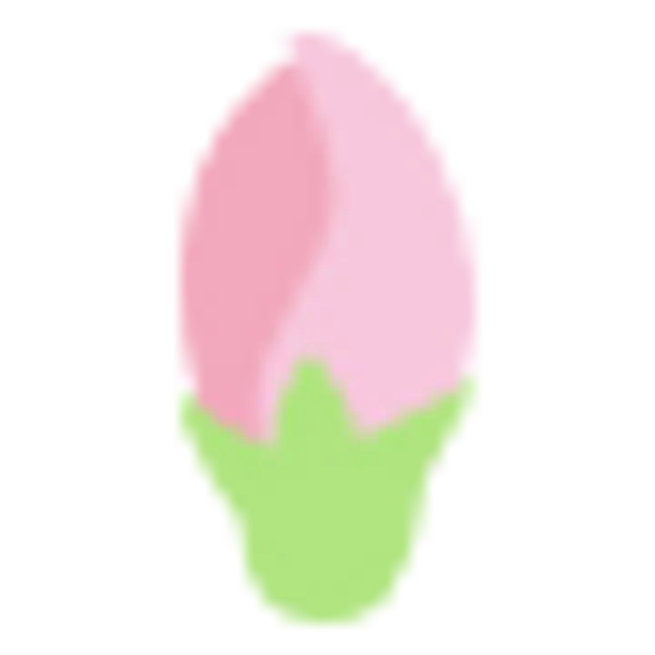 つぼみ