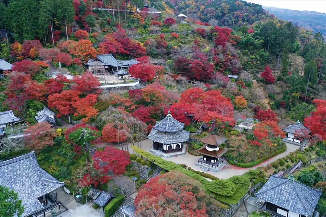 【善峯寺】紅葉