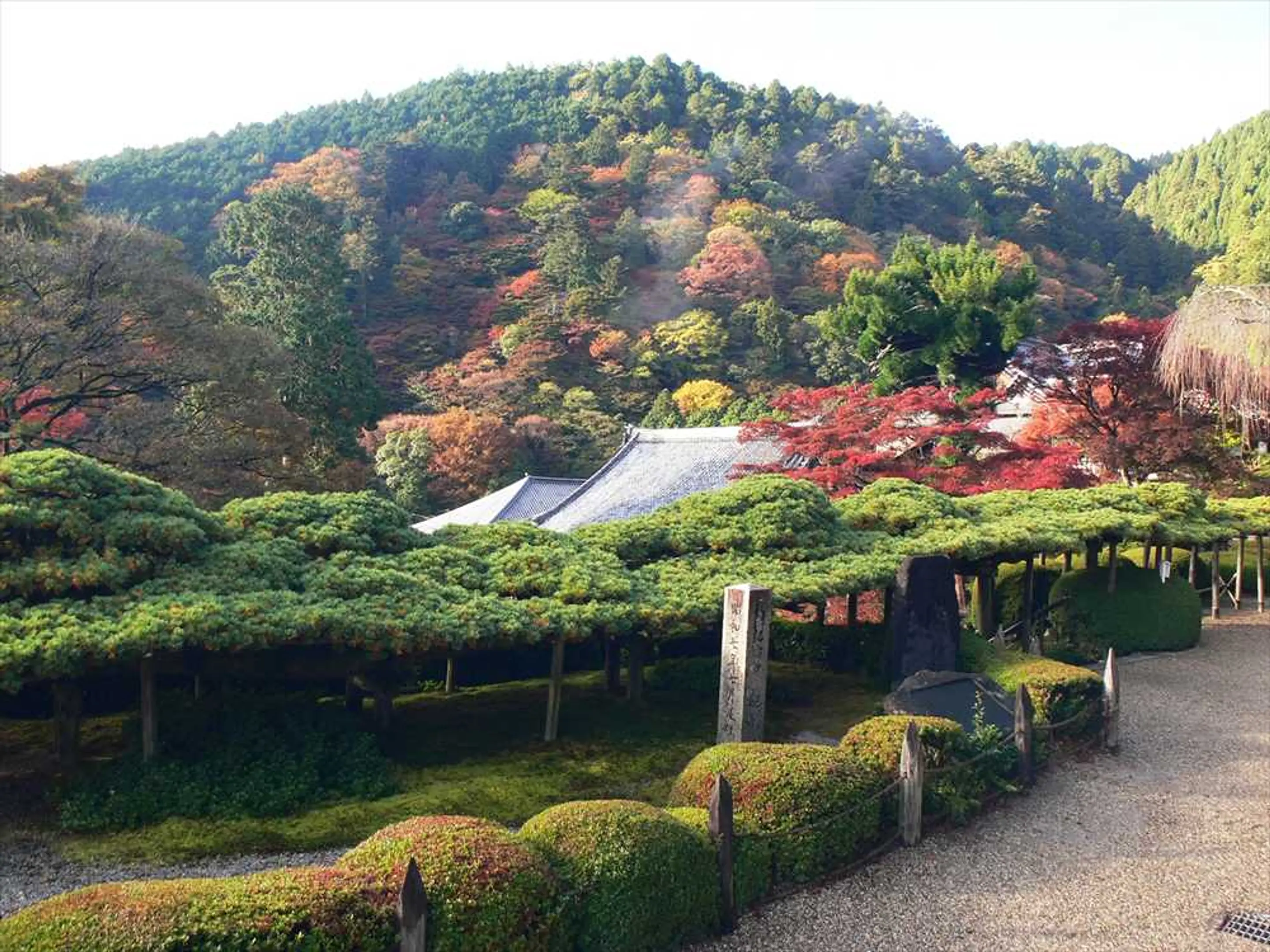 HP用善峯寺.JPG