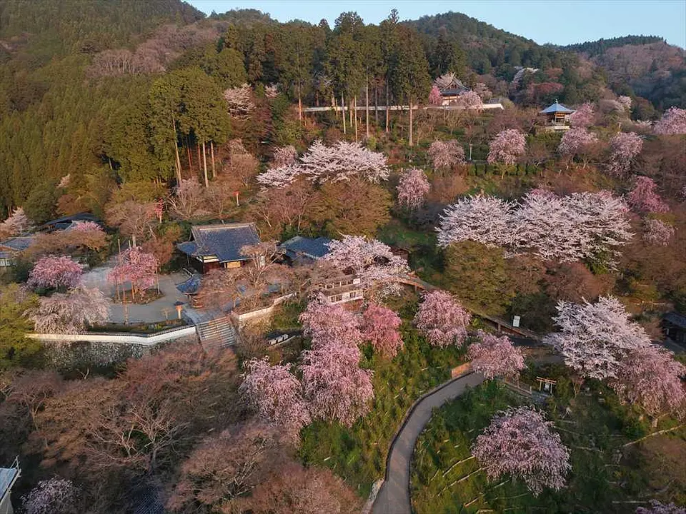 善峯寺