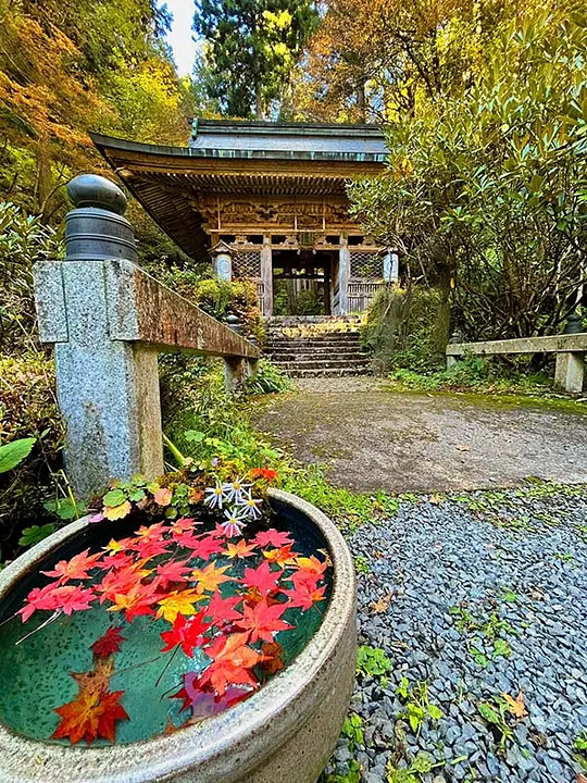 【志明院】紅葉