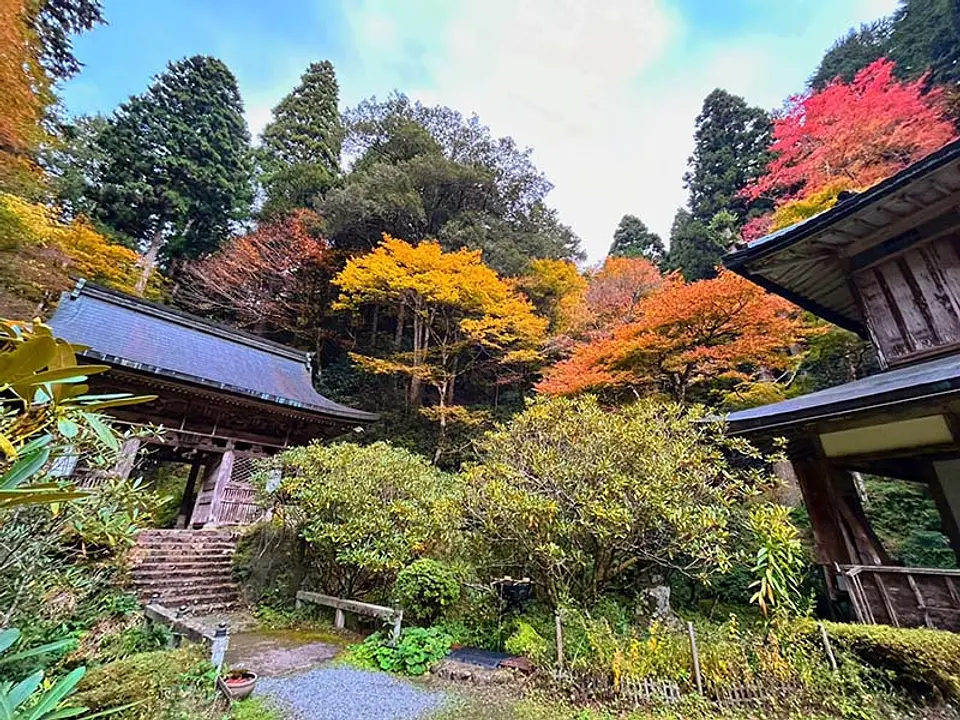 【志明院】紅葉