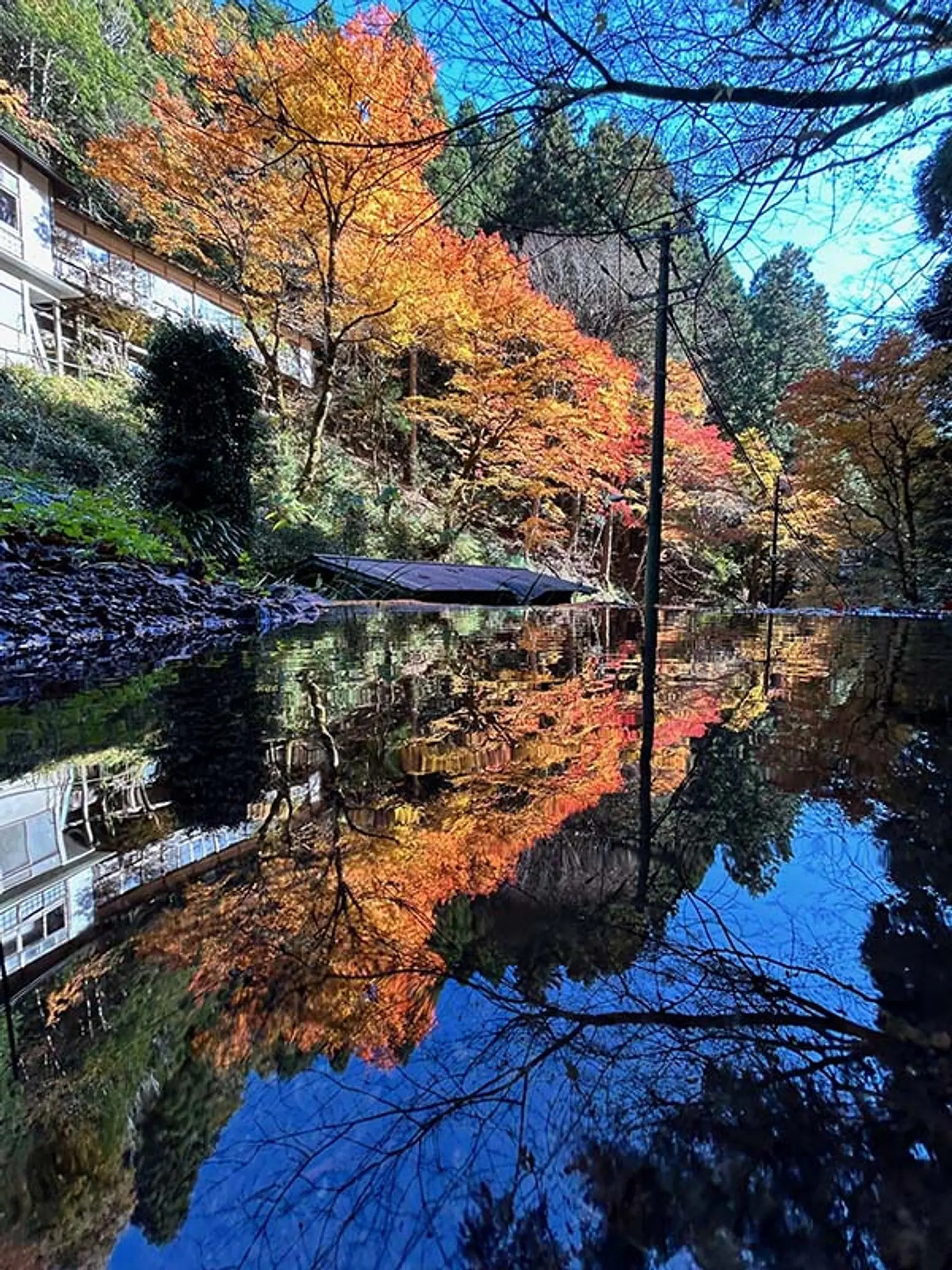 【志明院】紅葉